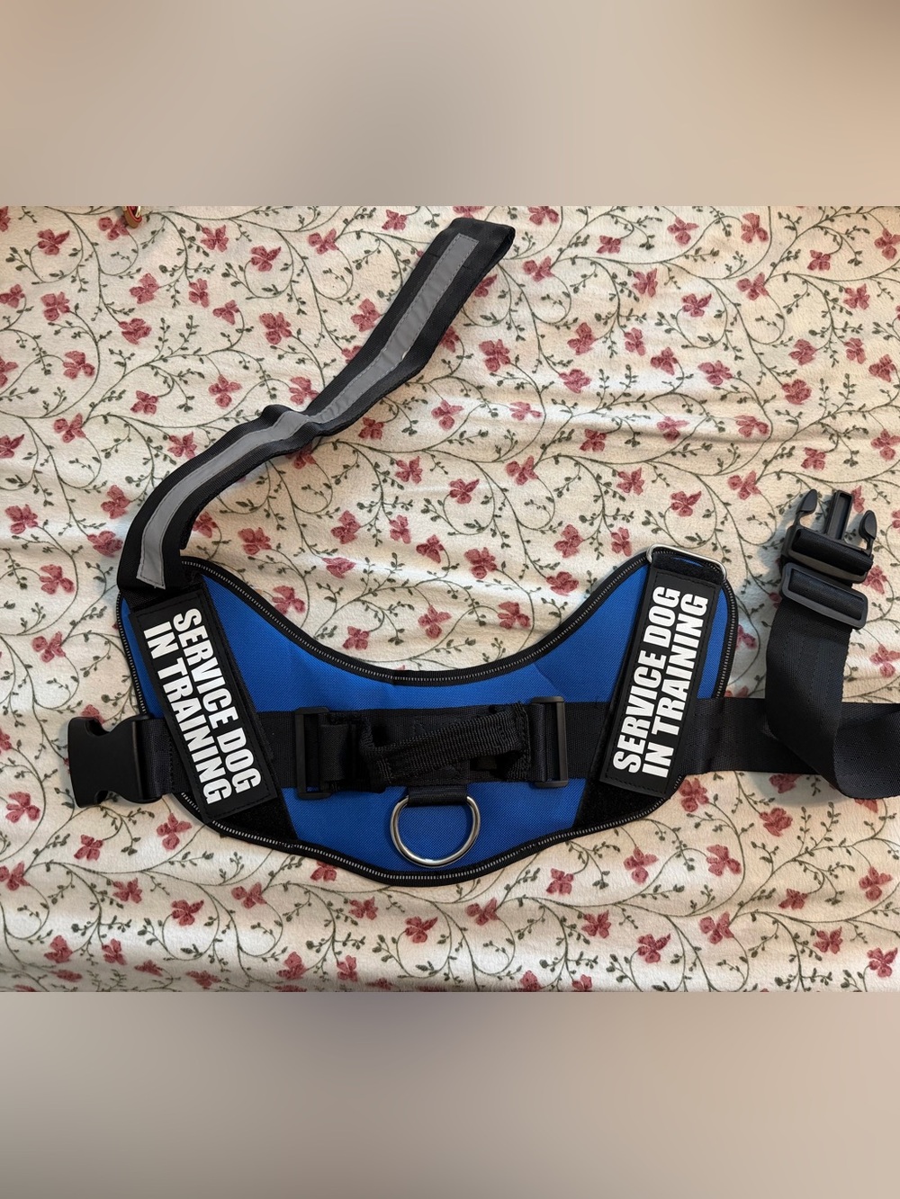 Service Dog in Training Harness - Blue-XL